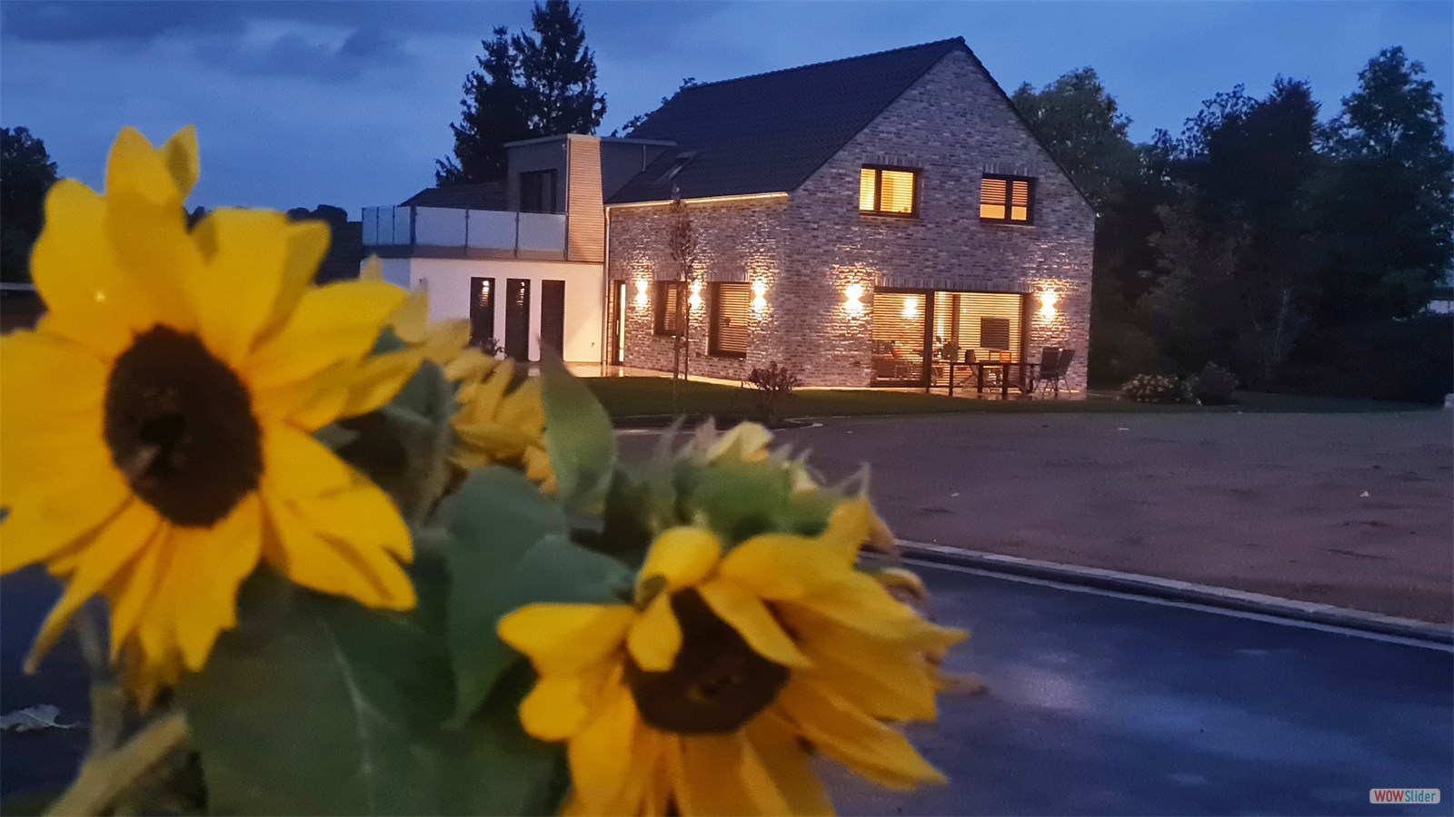 8 Blaue Stunde Außen mit Sonnenblumen Focus Hintergrund An der Windmühle Raumkontrast