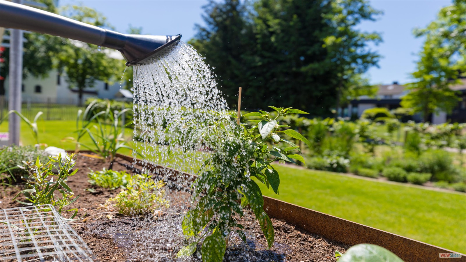 Iringweg Gartenplanung 9 Raumkontrast