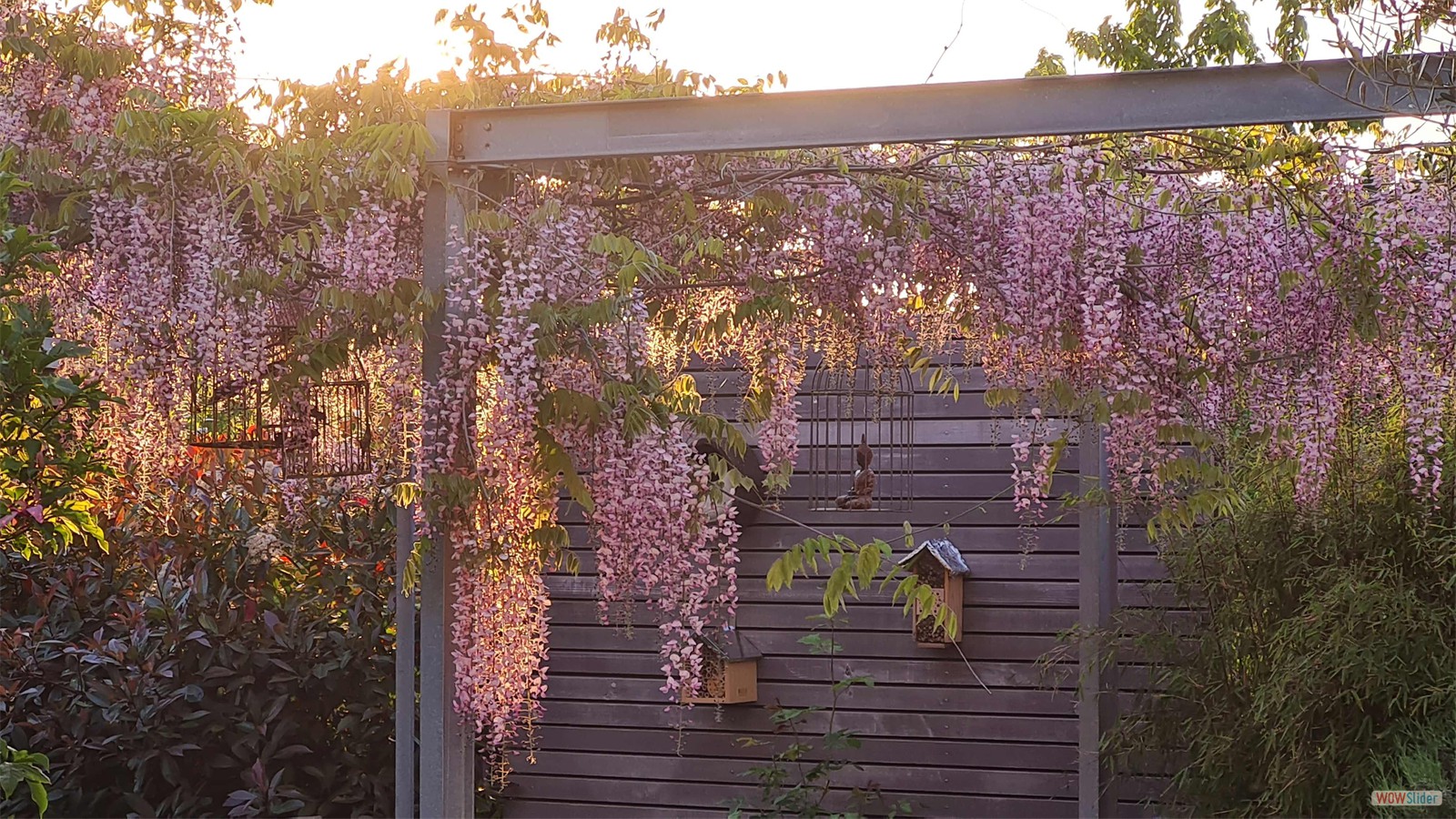 Werdener Hof Gartenplanung 0 Raumkontrast