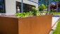 Iringweg Gartenplanung 8 Raumkontrast