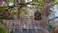 Werdener Hof Gartenplanung 17 Raumkontrast